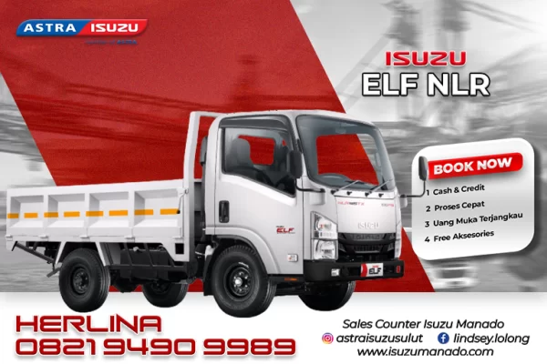 ISUZU ELF NLR
